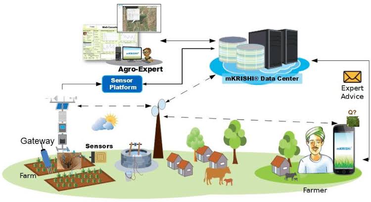 Digital Farming 1